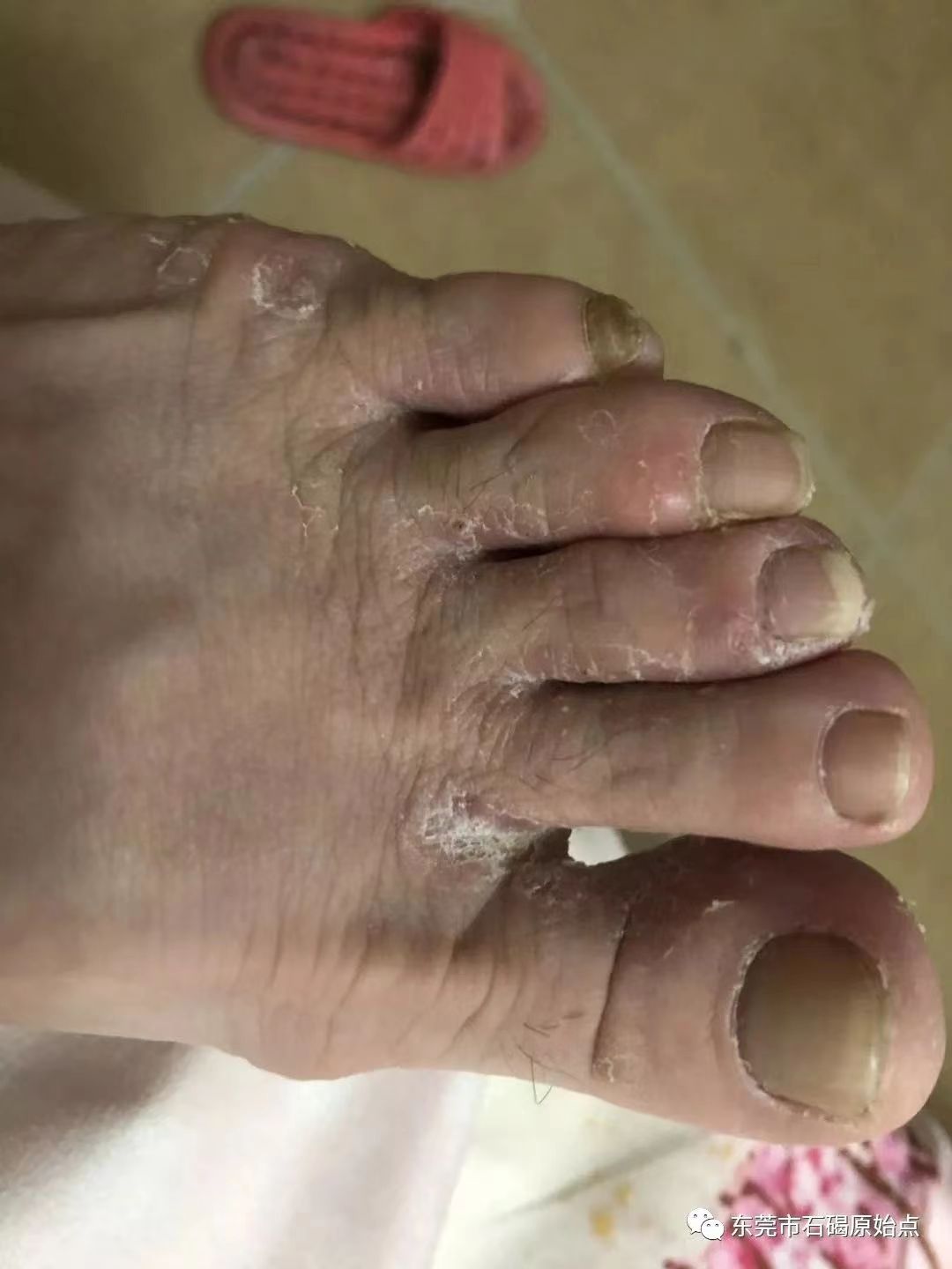 微信图片_20220822171037