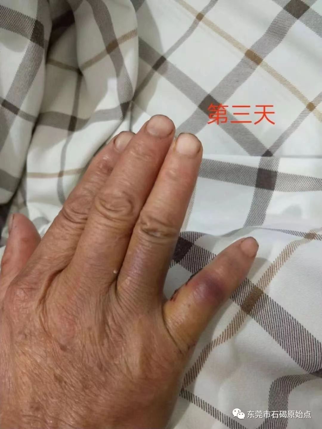 微信图片_20220827113208