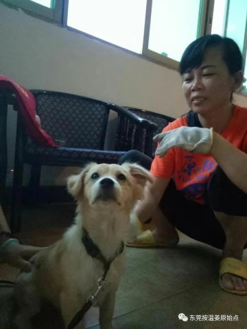 格式工厂图片3