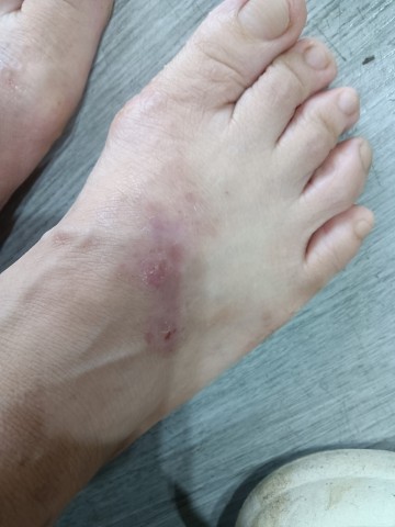 格式工厂微信图片_20240814172032