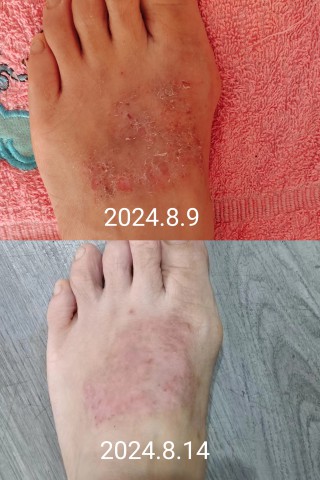 格式工厂微信图片_20240814173520